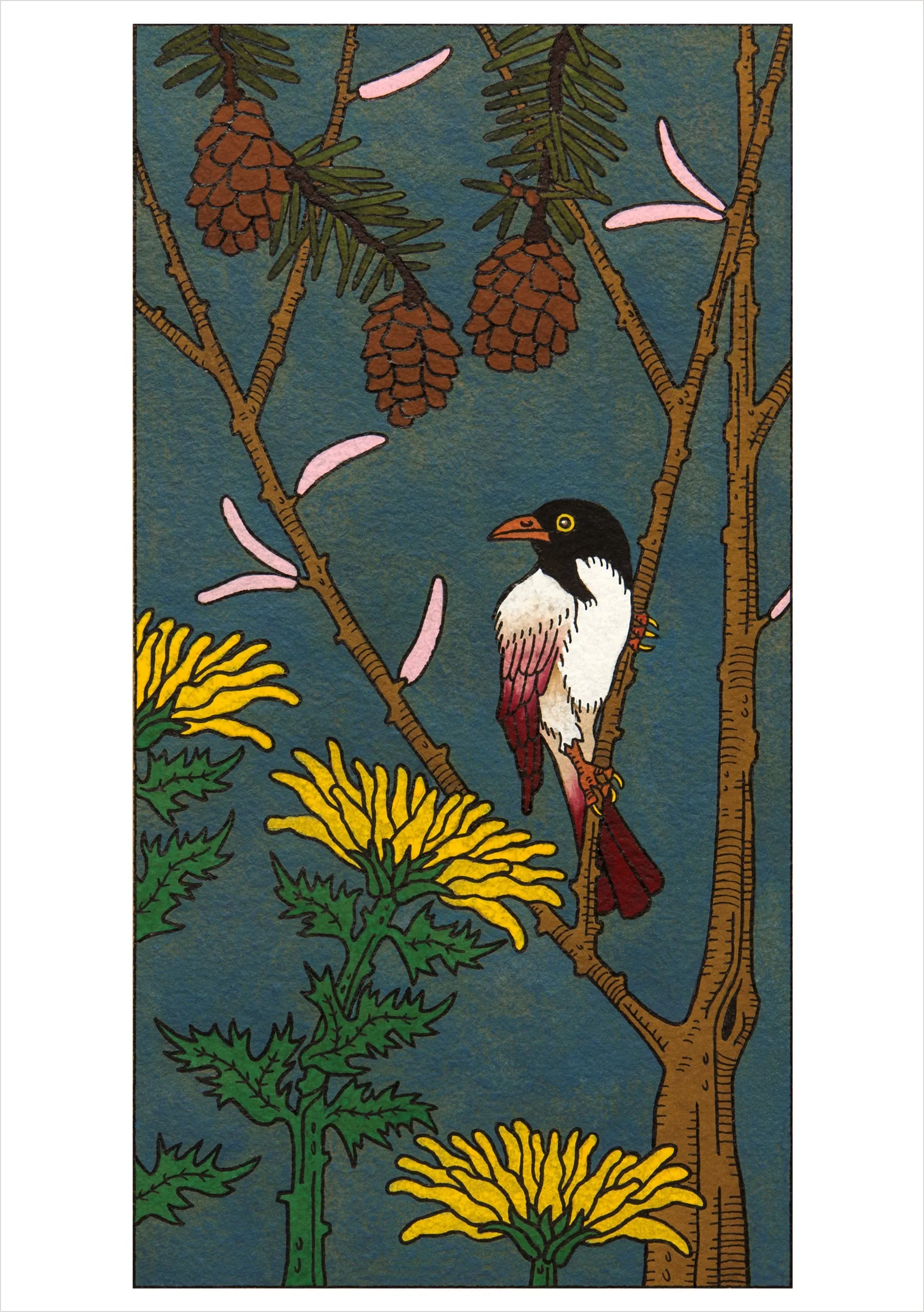 CJ Hurley Birds - Cartes de notes assorties en boîte