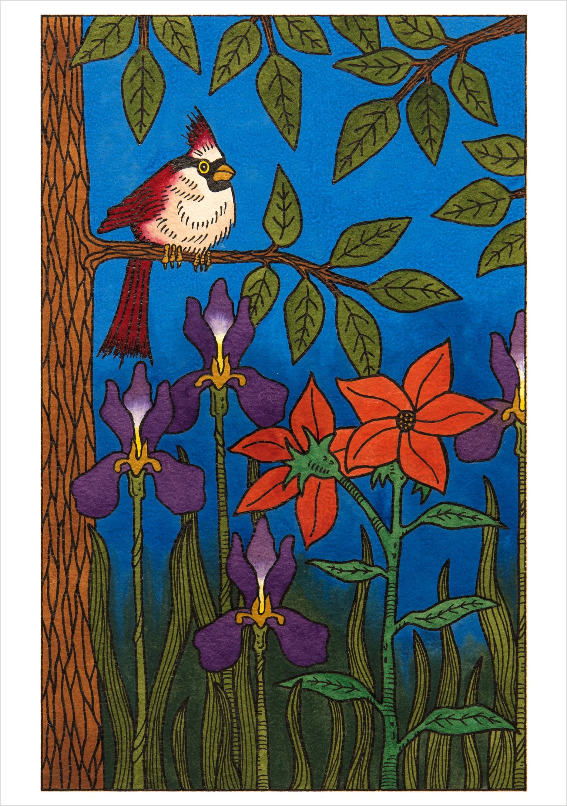 CJ Hurley Birds - Cartes de notes assorties en boîte