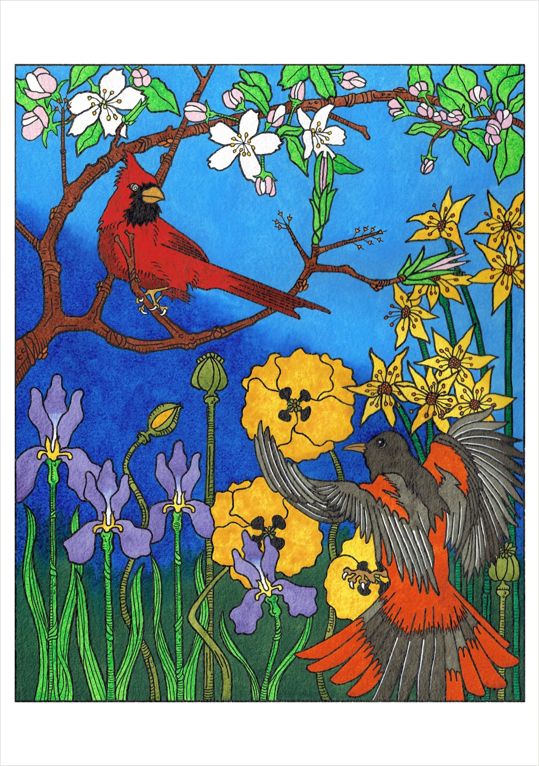 CJ Hurley Birds - Cartes de notes assorties en boîte