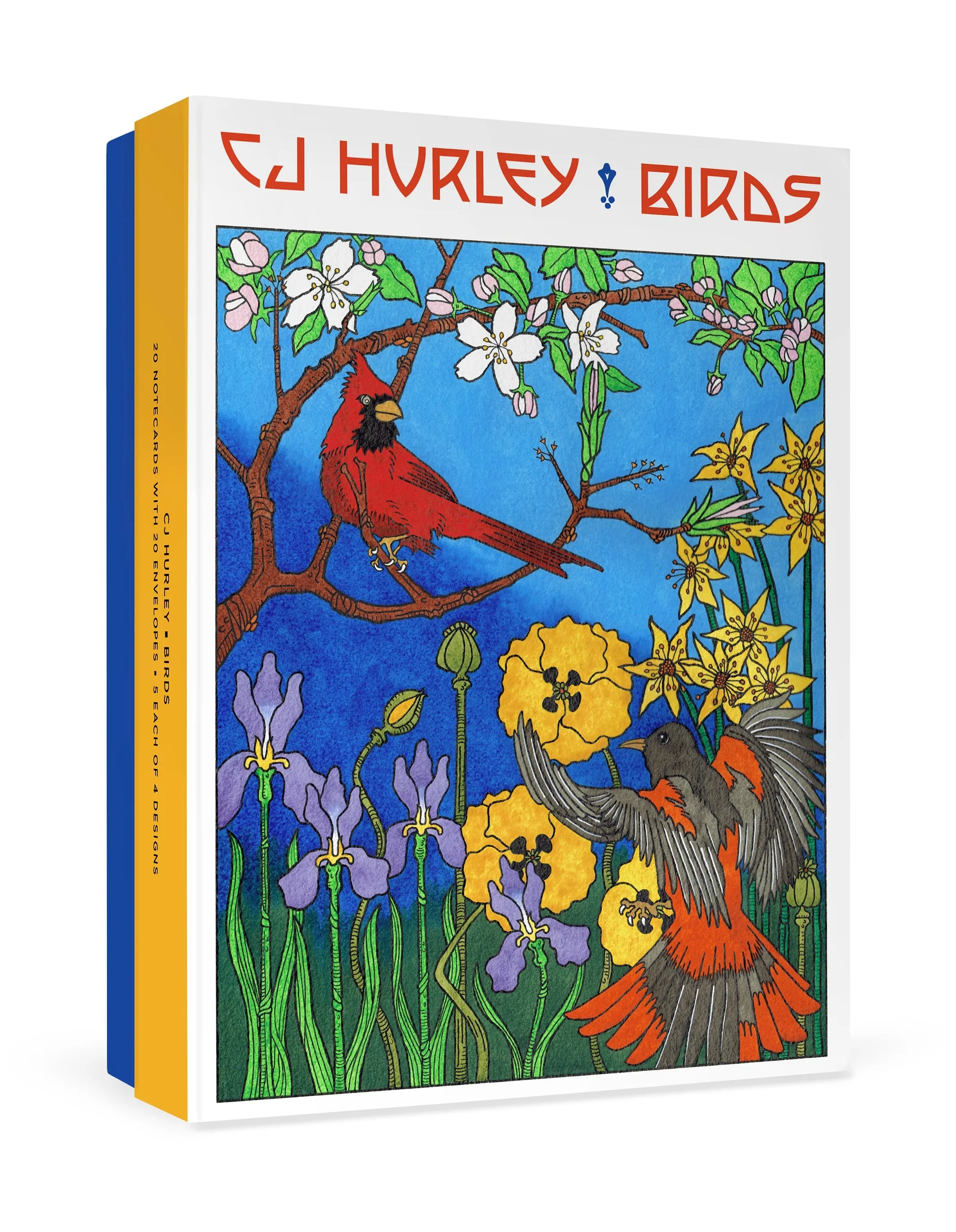 CJ Hurley Birds - Cartes de notes assorties en boîte