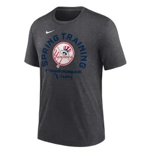 MLB - T-shirt d'entraînement de printemps des New York Yankees pour homme (NJFD 07F NK GUH)